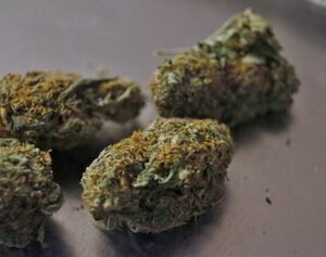 Marijuana médicale à vendre en Europe
