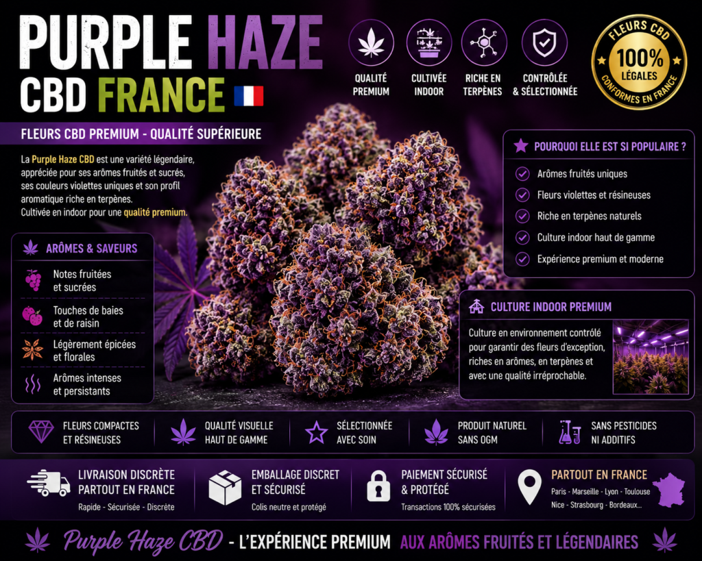 Purple Haze CBD France