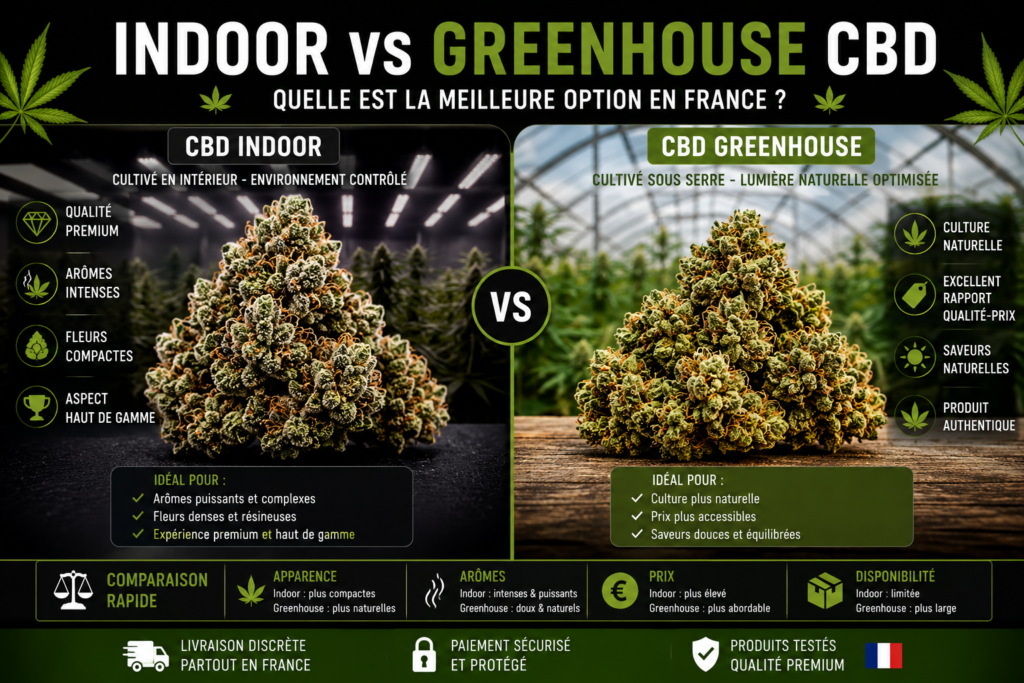 Indoor vs Greenhouse CBD Quelle est la Meilleure Option en France